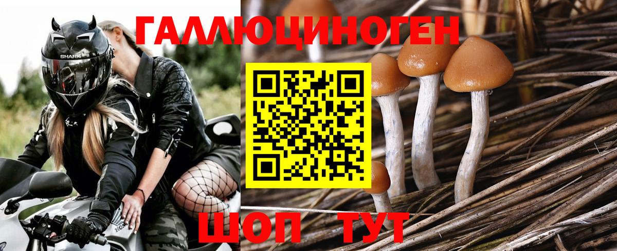 Галлюциногенные грибы MAGIC MUSHROOMS  Вход с VPN  цены   Заринск 